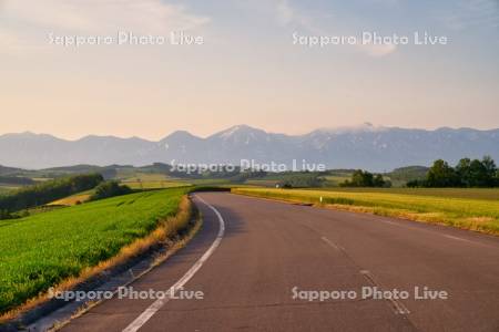 丘の中の道路と十勝岳連峰