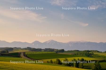 丘の中の道路と十勝岳連峰