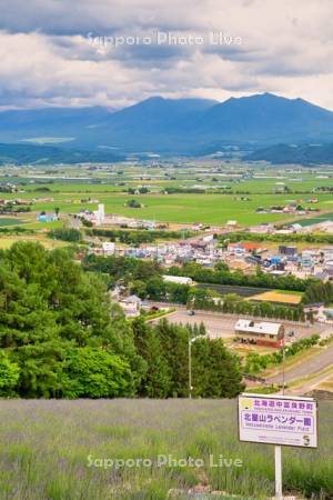 北星山ラベンダー園～市街展望