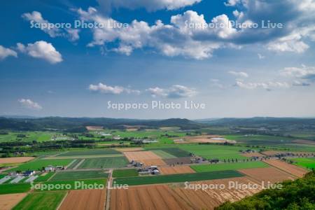 達布山展望台より田園