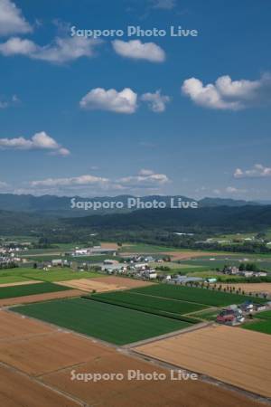 達布山展望台より田園