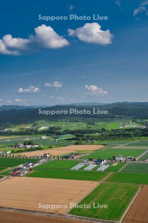 達布山展望台より田園