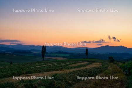 マイルドセブンの丘の夕景