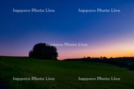 マイルドセブンの丘の夕景