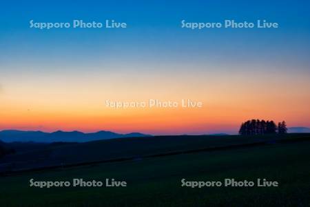 新栄の丘の夕景