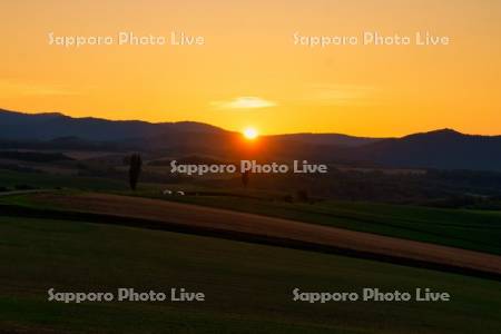 マイルドセブンの丘の夕日