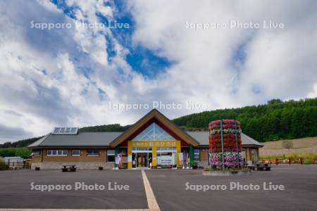 太陽の丘えんがる公園虹のひろば