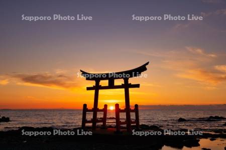 金比羅神社と夕日