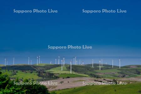 宗谷丘陵の風力発電