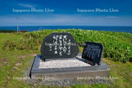 稚内公園　文芸の小径