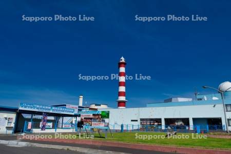 ノシャップ寒流水族館と稚内灯台