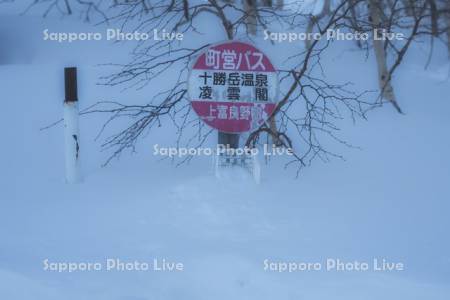 雪に埋もれたバス停