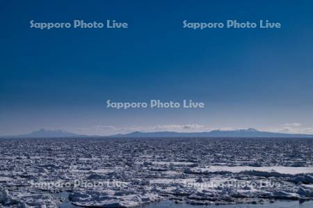 流氷と国後島
