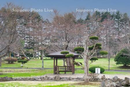 さらんべ公園