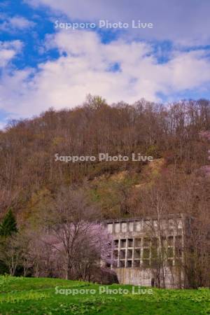 炭鉱メモリアル森林公園