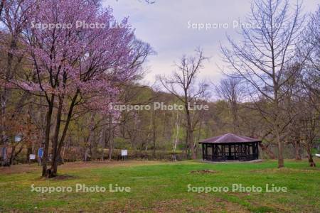 鳥沼公園