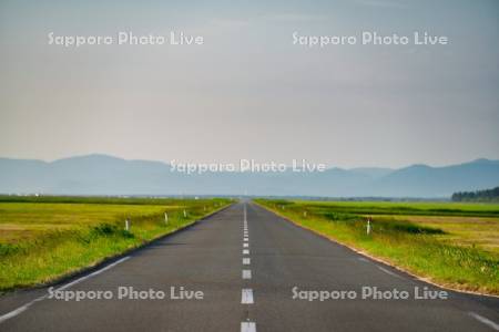 エサヌカ線