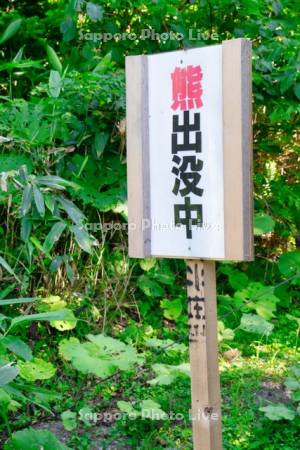 熊出没注意の看板