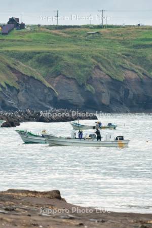 コンブ漁と霧多布岬キャンプ場