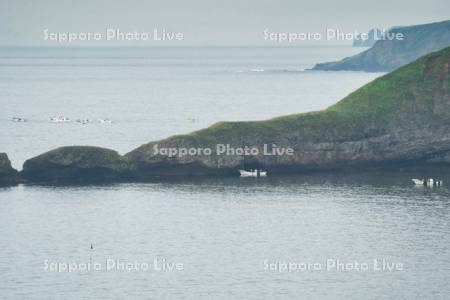 コンブ漁船と濤沸西岬