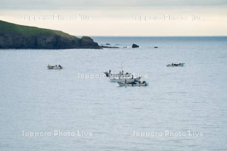 コンブ漁と霧多布岬