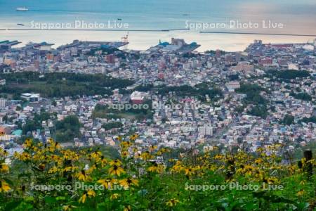 天狗山より市街展望　防波堤