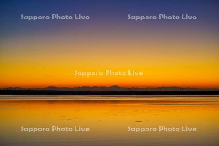 ウトナイ湖の夜明け