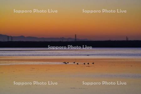 ウトナイ湖の夜明け