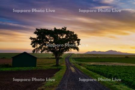 朝焼けの小屋と農道