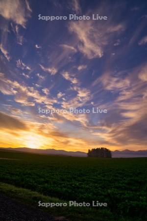 日の出の丘と十勝岳連峰