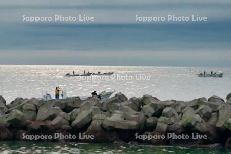 消波ブロックとコンブ漁