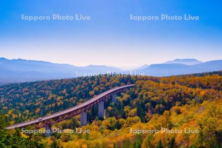 三国峠　松見大橋　R273