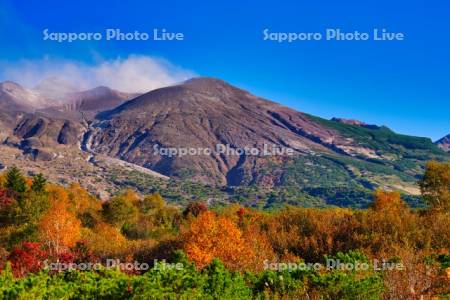 十勝岳温泉郷の紅葉