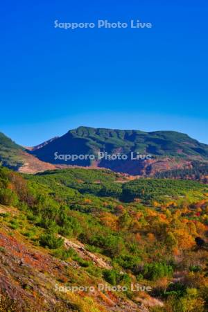 十勝岳温泉郷の紅葉