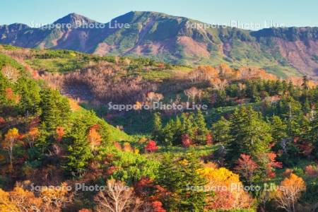 十勝岳温泉郷の紅葉