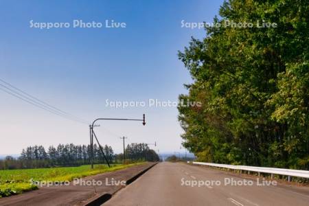 直線道路　道道337号線