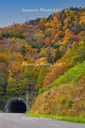 国道38号線　野花南トンネル