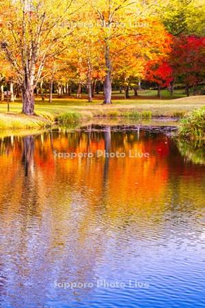 福原山荘　彫刻の池