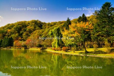 本別公園　かぶと池