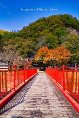 本別公園　つつじ橋