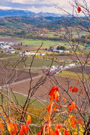 達布山展望台より田園