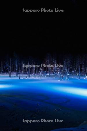 青い池　ライトアップ