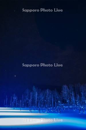 青い池　ライトアップ