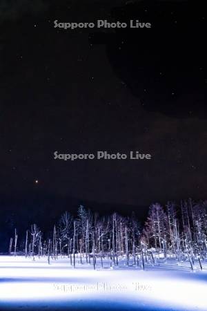 青い池　ライトアップ