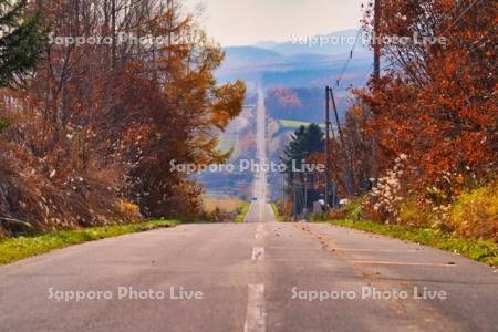 ジェットコースターの路