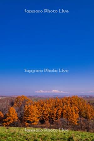 就実の丘より大雪山