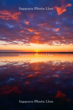 ウトナイ湖の日の出