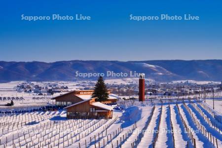 ぶどう畑とカンンパーナ