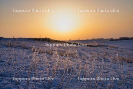 冬の日の出