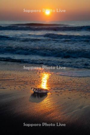 ジュエリーアイス